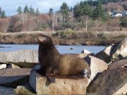 True Canadian stories of boating, kayaking and hiking adventures in British Columbia